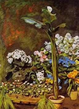 Pierre Auguste Renoir : Arum and Conservatory Plants